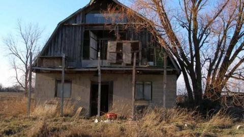 Bird Dog - Carrique-Property69.jpg