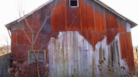 Bird Dog - Carrique-Property59.jpg