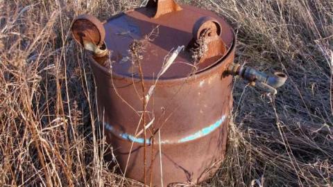 Bird Dog - Carrique-Property70.jpg