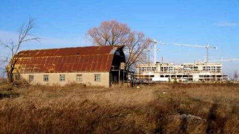 Bird Dog - Carrique-Property60.jpg