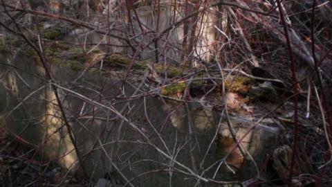 Josephine - Josephine-Ghost-Town72.jpg