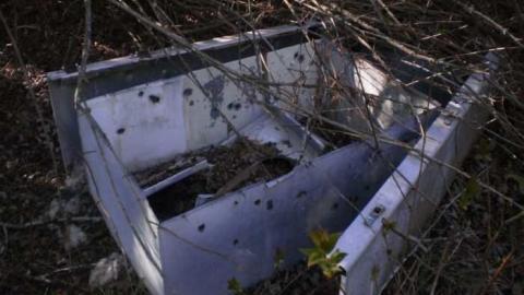 Josephine - Josephine-Ghost-Town68.jpg