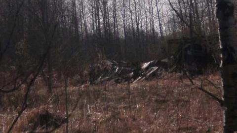 Photo from Josephine