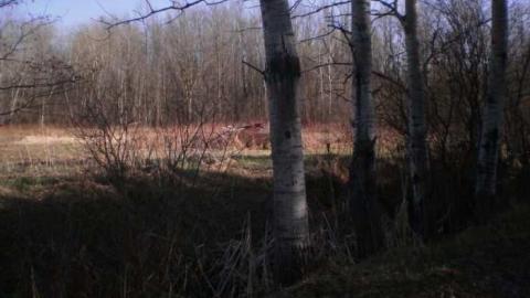 Josephine - Josephine-Ghost-Town74.jpg