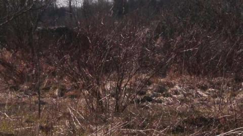 Photo from Josephine