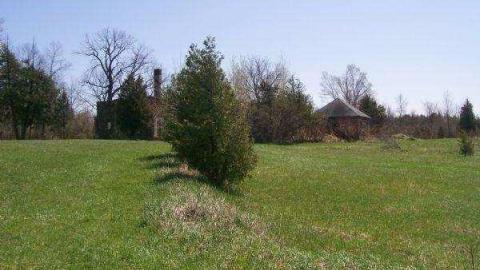 Wrigley's Castle photo 4