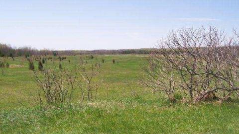Wrigley's Castle - Oro-Medonte, Ontario