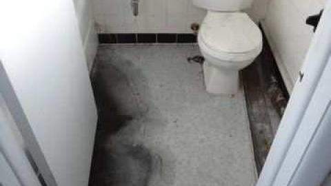 Just Stopping In - Stop-50-Truck-Stop145.jpg