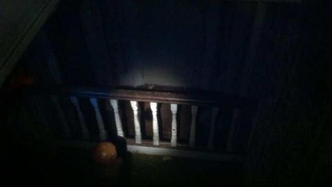 Recovered Photos - Mt-Wolfe-Farm107.jpg