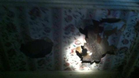 Recovered Photos - Mt-Wolfe-Farm102.jpg