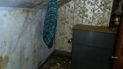 Photo from Inside Arkell