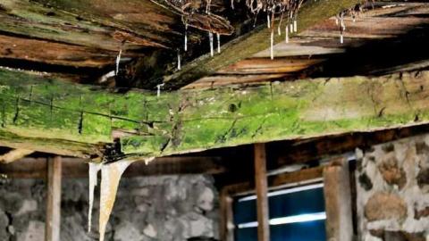 Photo from Late Dec 2012