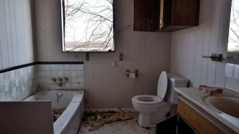 Dec. 2012 - Small-Farm-in-Elgin-County6.jpg