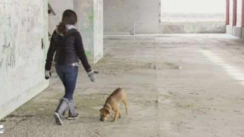 January 2013 - Kingston-Raceway49.jpg