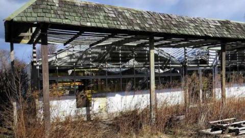 Telstar Jan 2013 - Telstar-Gardens6.jpg