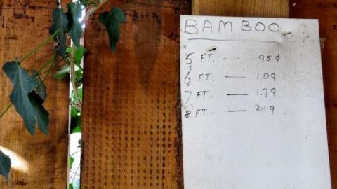 Telstar Jan 2013 - Telstar-Gardens25.jpg