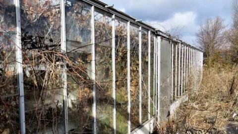 Telstar Gardens photo 4