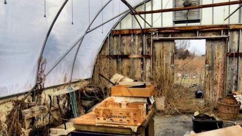 Telstar Jan 2013 - Telstar-Gardens26.jpg