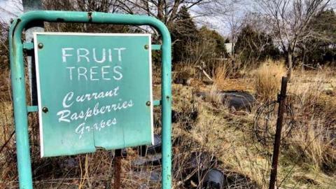 Telstar Jan 2013 - Telstar-Gardens27.jpg