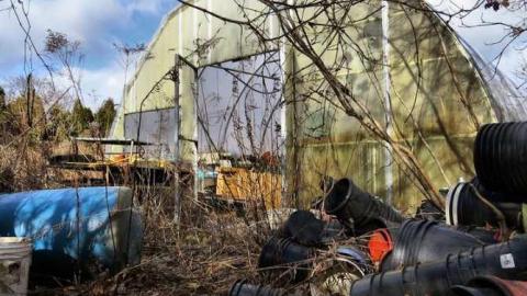 Telstar Jan 2013 - Telstar-Gardens28.jpg