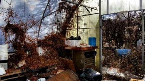 Telstar Jan 2013 - Telstar-Gardens11.jpg