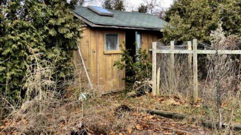 Telstar Jan 2013 - Telstar-Gardens14.jpg