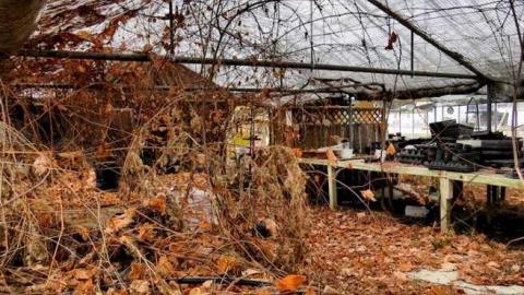 Telstar Jan 2013 - Telstar-Gardens15.jpg