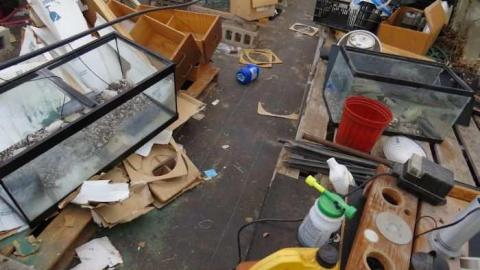 Telstar Jan 2013 - Telstar-Gardens16.jpg