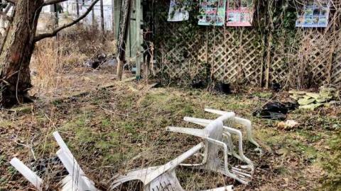 Telstar Jan 2013 - Telstar-Gardens17.jpg