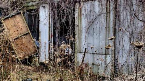 Telstar Jan 2013 - Telstar-Gardens20.jpg