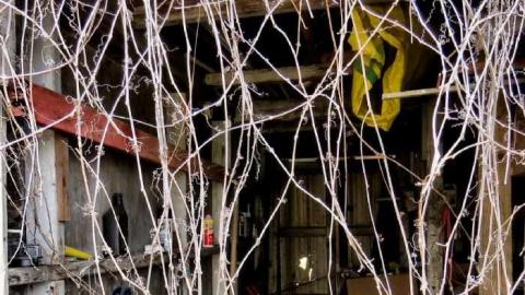 Telstar Jan 2013 - Telstar-Gardens21.jpg