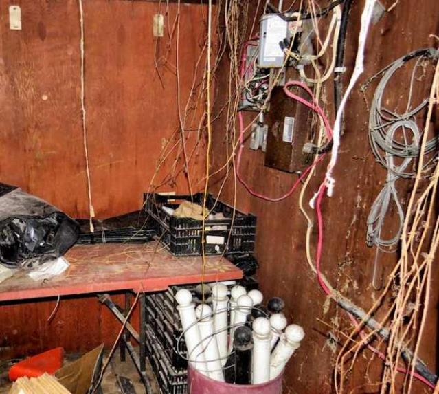 Telstar Gardens photo 5