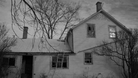 Love For Lee - DSC02333edited.jpg