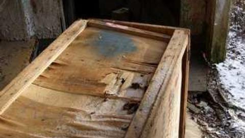 Love For Lee - DSC02347.jpg