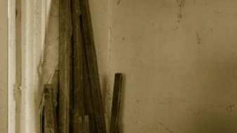 Love For Lee - DSC02379edited.jpg