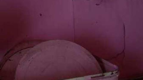 Love For Lee - DSC02432.jpg