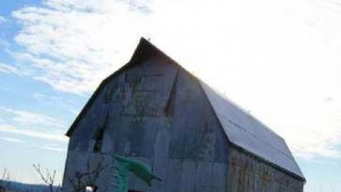 Love For Lee - DSC02478.jpg