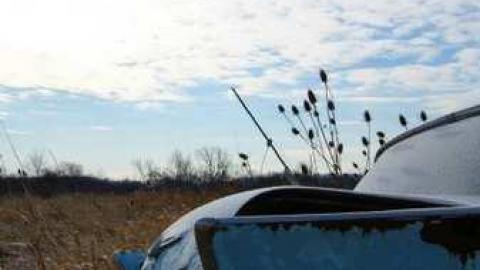 Love For Lee - DSC02484.jpg