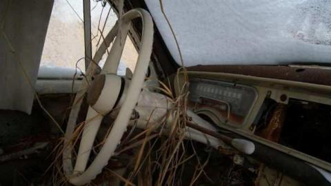 Love For Lee - DSC02494.jpg