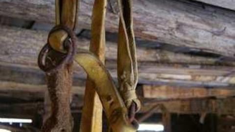 Love For Lee - DSC02502.jpg