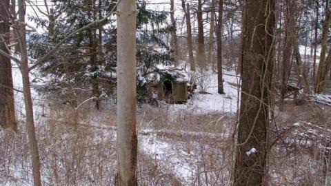 20th Time Is A Charm - Neglected-Manor252.jpg