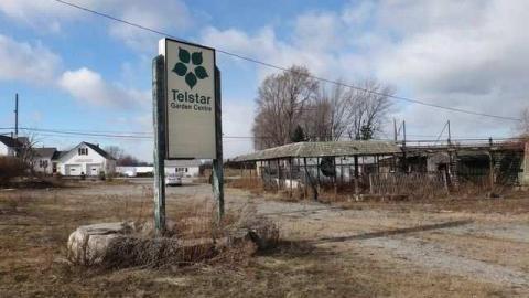 Photo from Bonus Clips