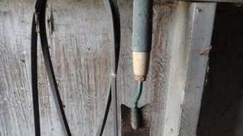 Bonus Clips - Telstar-Gardens2.jpg