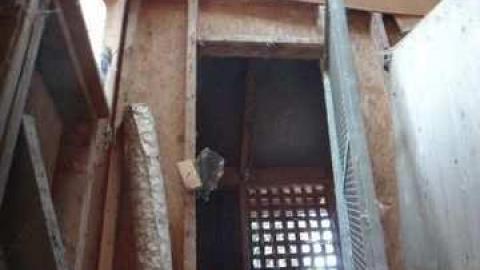 Bonus Clips - Telstar-Gardens3.jpg