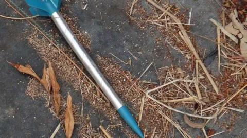 Photo from Bonus Clips