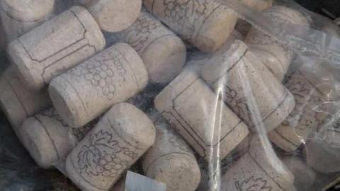 Bonus Clips - Telstar-Gardens33.jpg