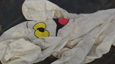 Bonus Clips - Telstar-Gardens34.jpg