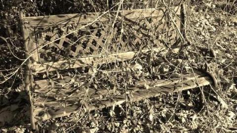 Bonus Clips - Telstar-Gardens35.jpg