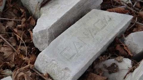 Photo from Bonus Clips