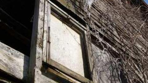 Barren - DSC02672.jpg